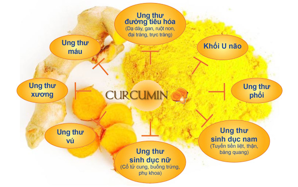 Tác dụng của hoạt chất CURCUMIN có trong tinh bột nghệ